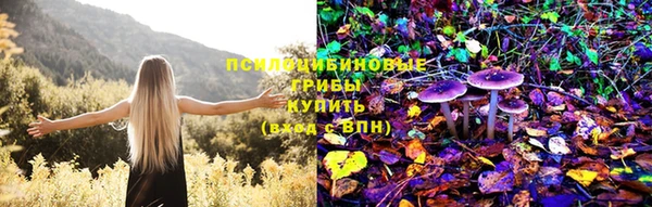 мяу мяу мука Ладушкин