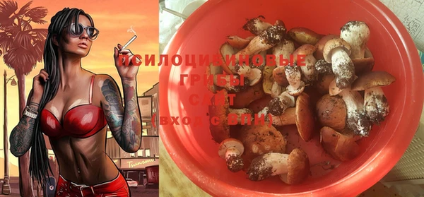 МДПВ Лагань