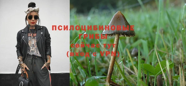 МДПВ Лагань