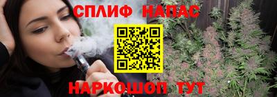 прущие грибы Заводоуковск