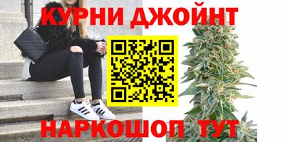 прущие грибы Заводоуковск