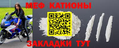 прущие грибы Заводоуковск