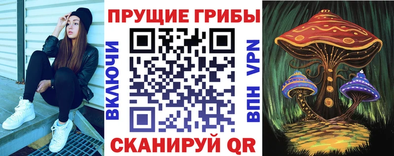Псилоцибиновые грибы ЛСД  даркнет сайт  Тихорецк 