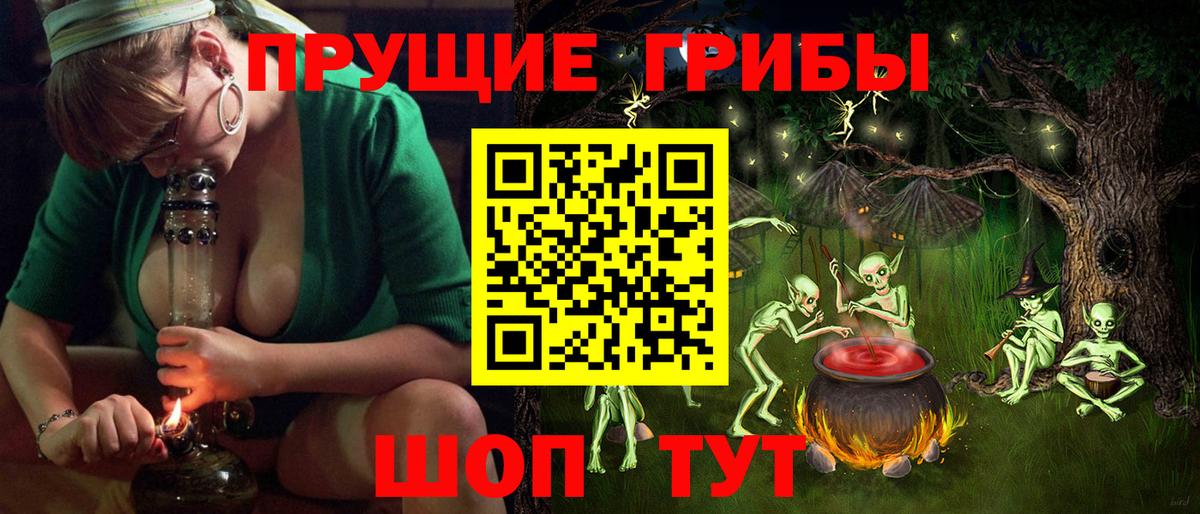 Псилоцибиновые грибы Psilocybe  Вход с VPN  Тихорецк 