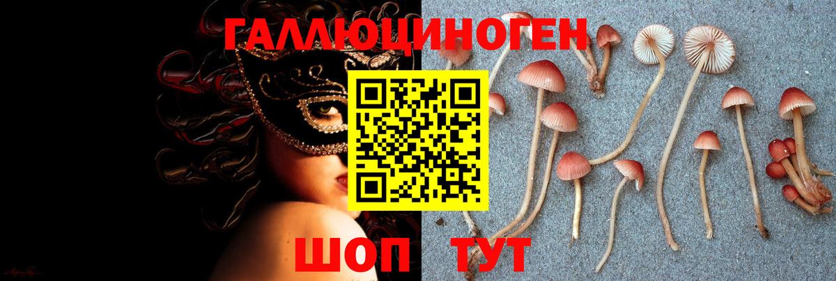 Псилоцибиновые грибы прущие грибы Тихорецк